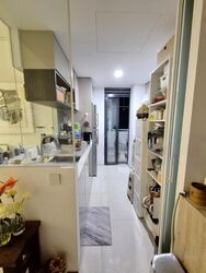 Fourth Avenue Residences (D10), Apartment #442646321